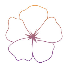 tropical flower icon over white background, colorful design. vector illustration