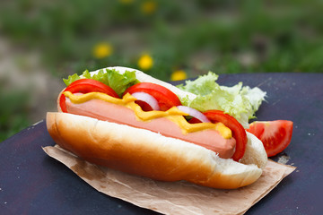 Fresh hot dog with sausage, served outdoors in craft paper. Street food, fast food.
