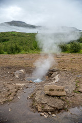  View of a Meadow with Steaming Hot Springs, Haukadalur Valley, Southern Iceland