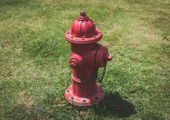 Fototapeta na wymiar red hydrant isolated on meadow - vintage hydrant