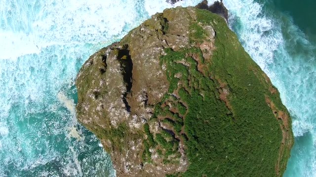 Haystack Rock Oregon Coast OR U.S.A.