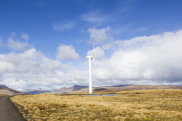 Wind mills producing green energy 