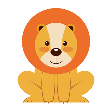 cute little lion animal icon vector illustration design
