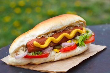 Classic american hot dog sandwich with pork or beef sausage
