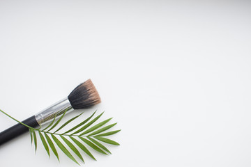 isolated makeup brush on the white background with free space  and branch of palm