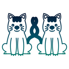 cute little cat couple vector illustration design