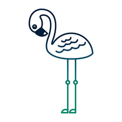 Obraz premium cute little flemish icon vector illustration design