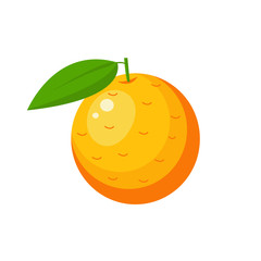 Orange icon.Vector illustration.