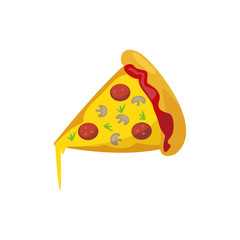 Pizza icon.Vector illustration for web design.
