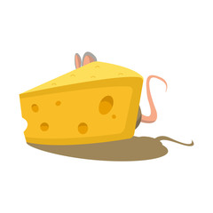 Cheese and mouse.Vector illustration for web design.
