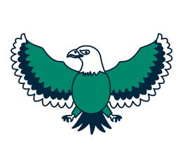 united states of america eagle vector illustration design