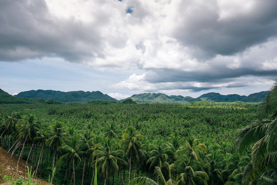 Siargao typical landscape, stunning nature and surf paradise spot in the Philippines