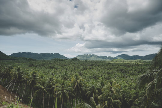 Siargao typical landscape, stunning nature and surf paradise spot in the Philippines
