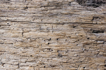 Texture of old driftwood, washed up by the sea