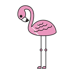 cute flamingo tropical bird icon vector illustration drawing