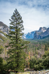 Tunnel View Yosemite National Park 