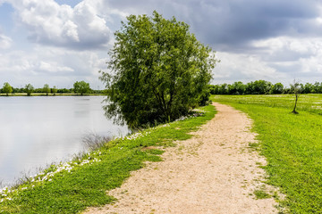 Reflections In Texas