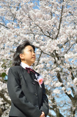 中学一年生の女の子 桜 入学 Wall Mural Wallpaper Murals Hanapon1002