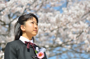 中学一年生の女の子 桜 入学 Wall Mural Wallpaper Murals Hanapon1002