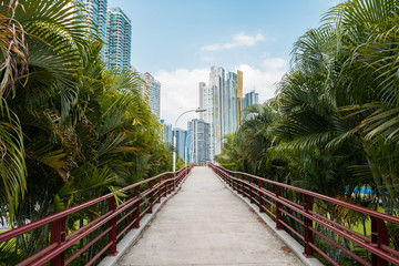 Fototapeta na wymiar straight way - pedestrian overpass / walkway with city skyline background and palm trees , Panama City