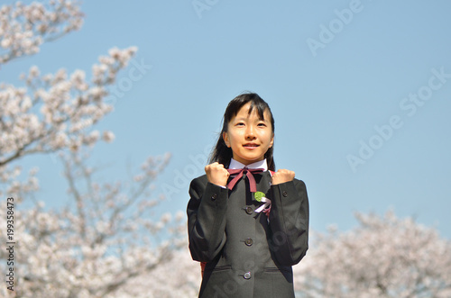中学一年生の女の子 桜 入学 Wall Mural Wallpaper Murals Hanapon1002