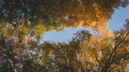 Autumn in Pildammsparken Malmö