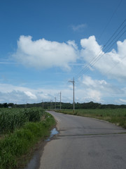 Fototapeta na wymiar 竹富島の風景