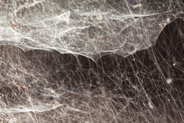 Spider net with a black background