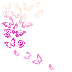 beautiful pink butterflies, isolated  on a white