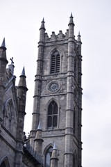 the tower of notre dame 
