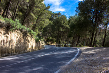 Obraz premium Road. An empty road in the forest.