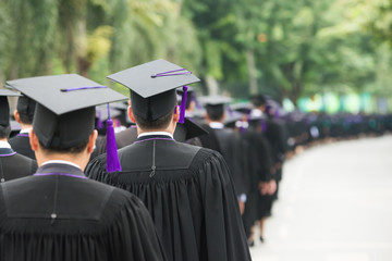 Back of graduates during commencement at university. Graduate walking.