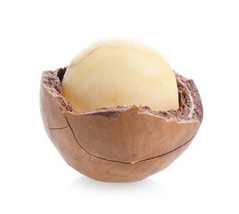 Macadamia nuts isolated on white background.