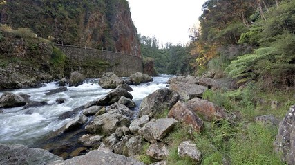 Ohinemuri river flowing in the Coramandel ranges near Karangahake