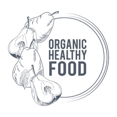 Organic healthy food hand drawings in black and white colors vector illustration