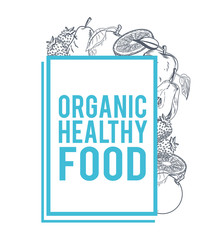 Organic healthy food hand drawings in black and white colors vector illustration
