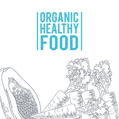 Organic healthy food hand drawings in black and white colors vector illustration
