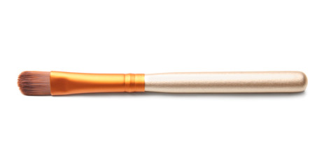 Makeup brush of professional artist on white background