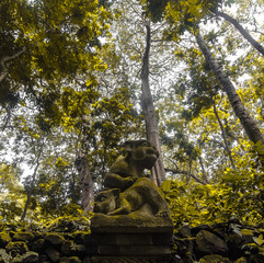 Statue in Wild