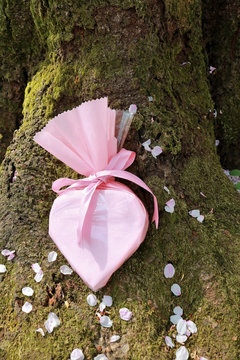 桜色の贈り物