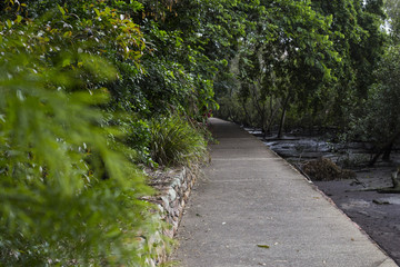 Riverside Pathway