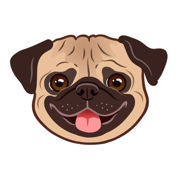 Pug dog cartoon illustration. Cute friendly fat chubby fawn pug puppy face, smiling with tongue out. Pets, dog lovers, animal themed design element isolated on white.