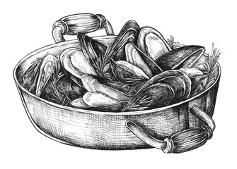 Hand drawn cooked mussels