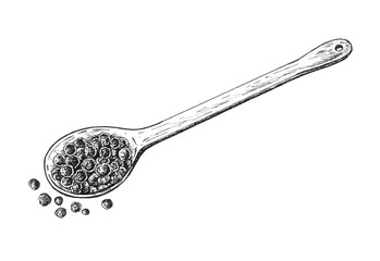 Hand drawn black peppercorn