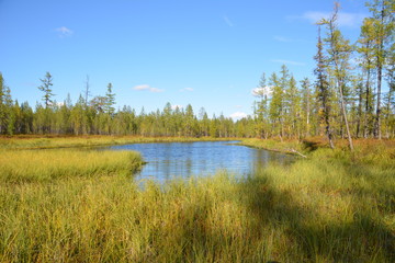 Bog. Travel to the city of Nadym.