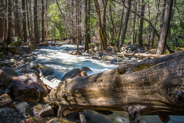 long exposure flowing river of bridal veil waterfall at yosemite park 