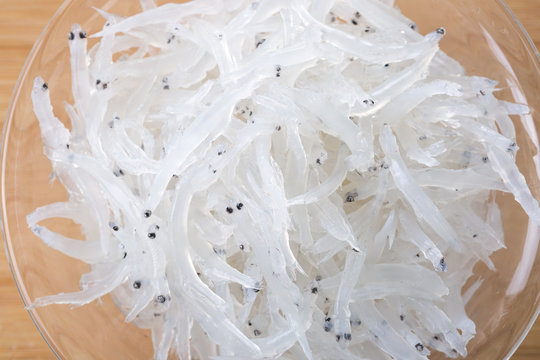 Fresh whitebait. Seafood
