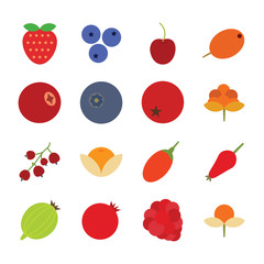 berry icon set