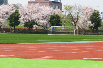 サッカー場と陸上競技場