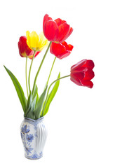Red and one yellow tulips standing in porcelain vase on white background